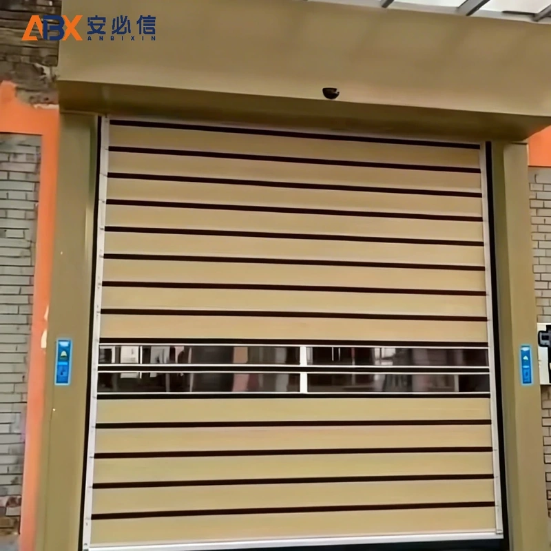 山南市感应高速门